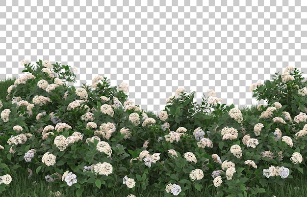 透明な背景に花のフィールド。 3 d レンダリング - イラスト