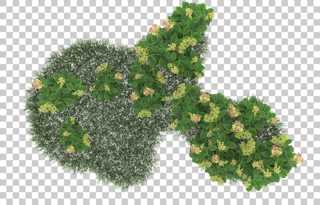 Field of flowers on transparent background. 3d rendering - illustration