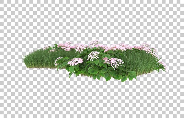 Field of flowers on transparent background. 3d rendering - illustration