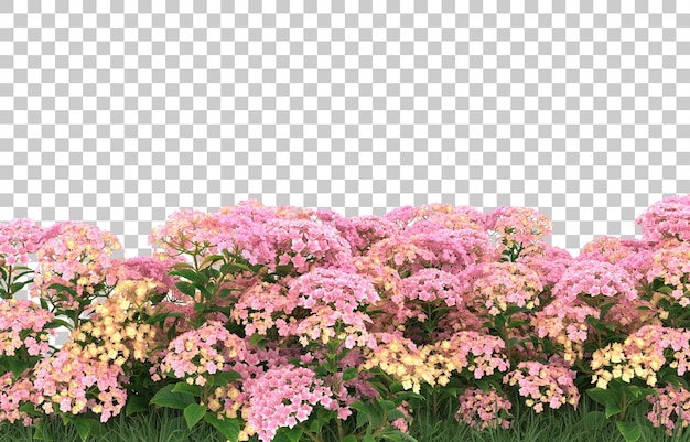 Field of flowers on transparent background. 3d rendering - illustration