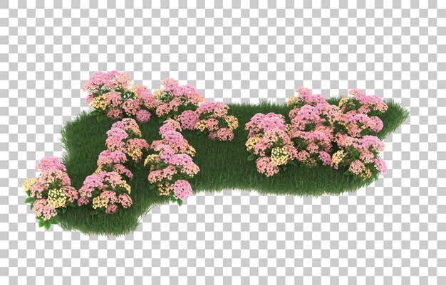 Field of flowers on transparent background. 3d rendering - illustration