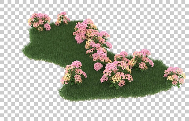 Field of flowers on transparent background. 3d rendering - illustration