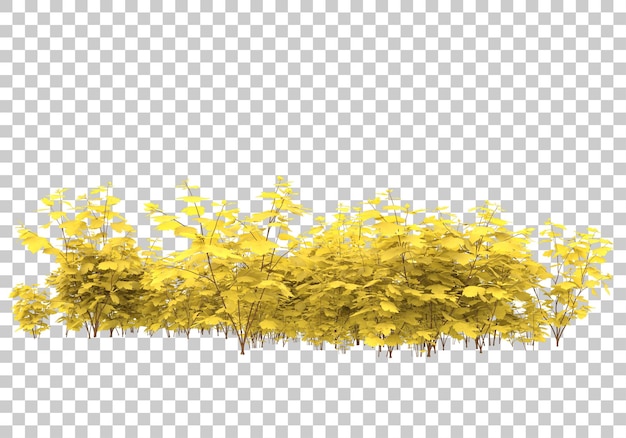 Field of grass on transparent background 3d rendering illustration