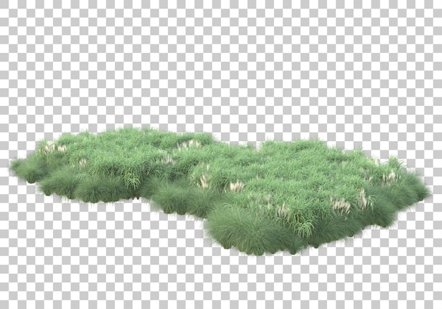 PSD field of grass on transparent background 3d rendering illustration