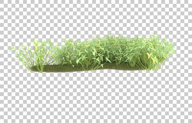 Field of grass on transparent background. 3d rendering - illustration