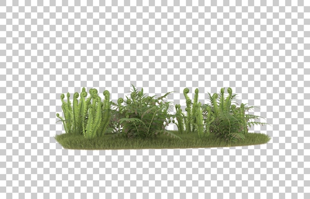 Field of grass on transparent background. 3d rendering - illustration