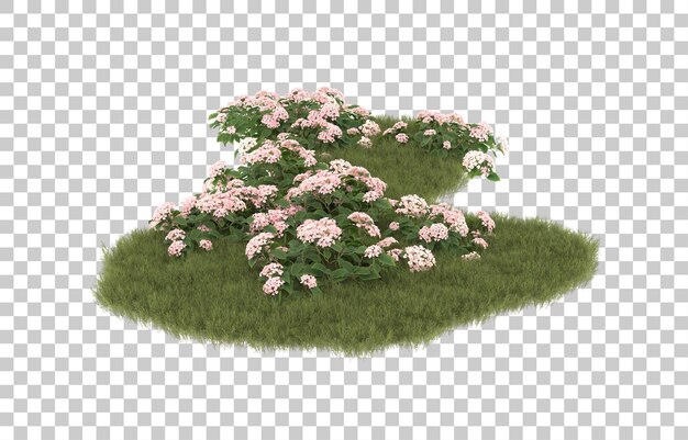 Campo di erba con fiori su sfondo trasparente. rendering 3d - illustrazione