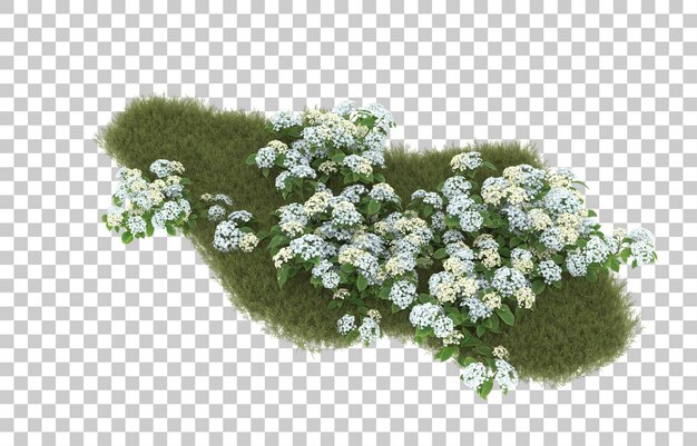 Field of grass with flowers on transparent background. 3d rendering - illustration