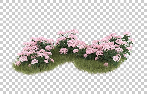 PSD campo di erba con fiori su sfondo trasparente. rendering 3d - illustrazione
