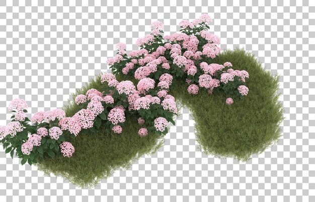 PSD campo di erba con fiori su sfondo trasparente. rendering 3d - illustrazione