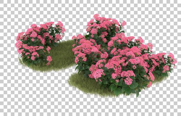 PSD campo di erba con fiori su sfondo trasparente. rendering 3d - illustrazione