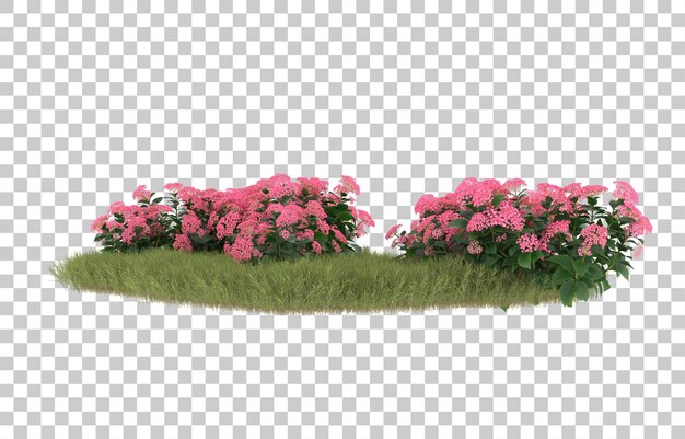 field of grass with flowers on transparent background. 3d rendering - illustration