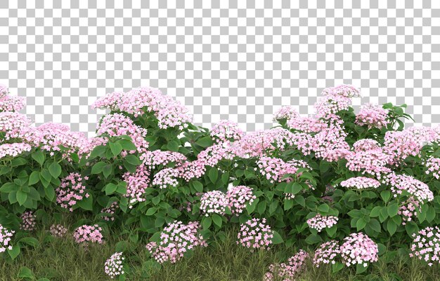 PSD field of grass with flowers on transparent background. 3d rendering - illustration