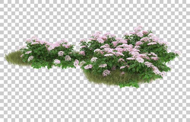 Field of grass with flowers on transparent background. 3d rendering - illustration