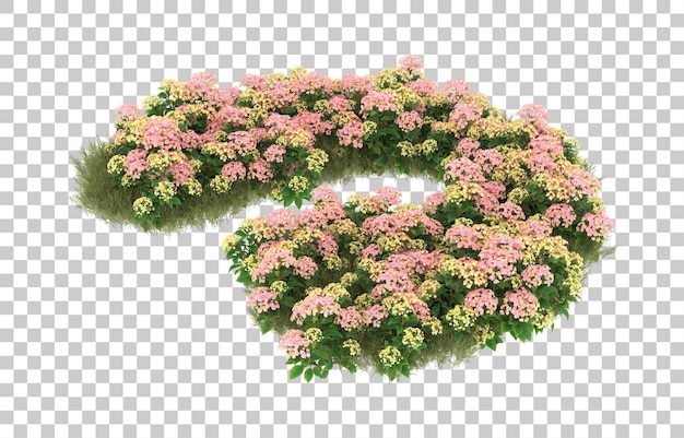 Field of grass with flowers on transparent background. 3d rendering - illustration