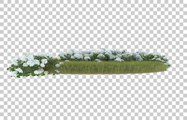 Field of grass with flowers on transparent background. 3d rendering - illustration