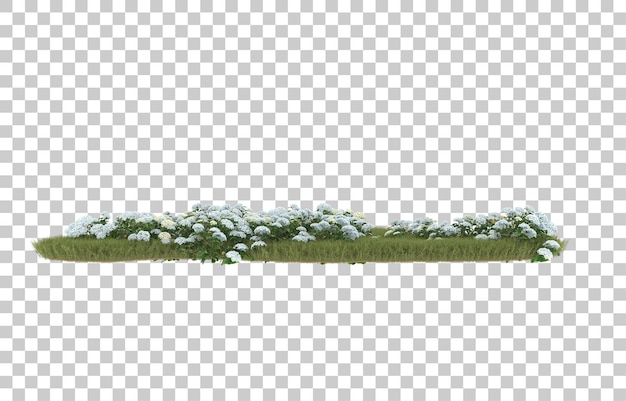 Field of grass with flowers on transparent background. 3d rendering - illustration