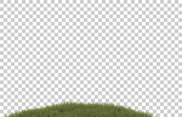 PSD field of grass with flowers on transparent background. 3d rendering - illustration