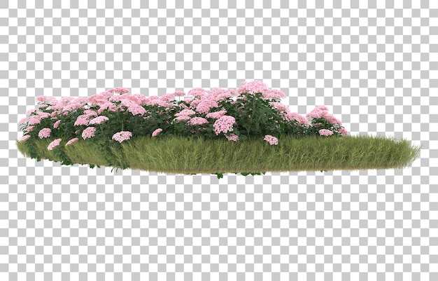 Field of grass with flowers on transparent background. 3d rendering - illustration