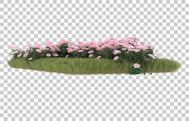 field of grass with flowers on transparent background. 3d rendering - illustration