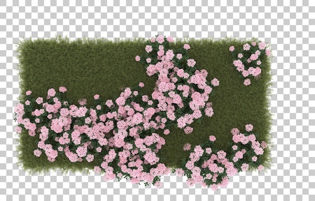 Campo di erba con fiori su sfondo trasparente. rendering 3d - illustrazione