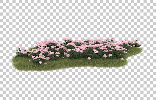 field of grass with flowers on transparent background. 3d rendering - illustration