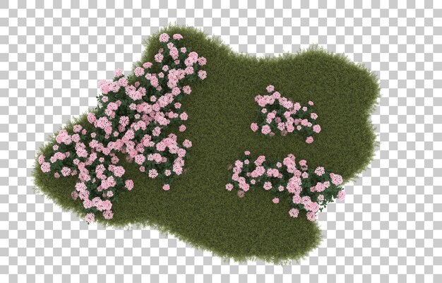 Field of grass with flowers on transparent background. 3d rendering - illustration