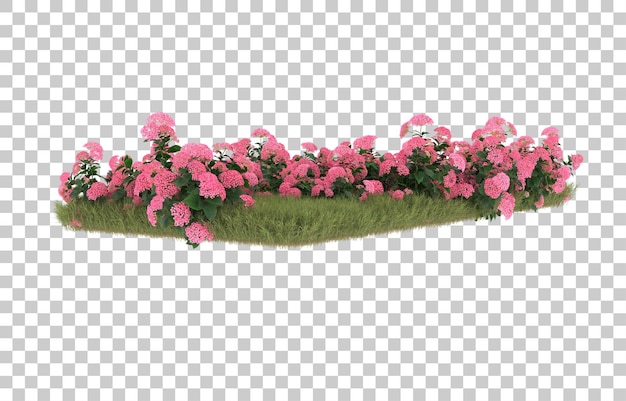 field of grass with flowers on transparent background. 3d rendering - illustration