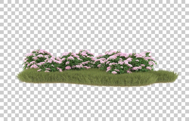 Field of grass with flowers on transparent background. 3d rendering - illustration