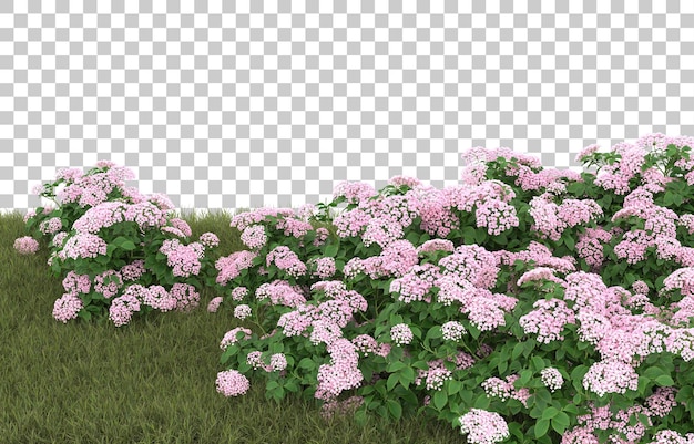 Campo di erba con fiori su sfondo trasparente. rendering 3d - illustrazione