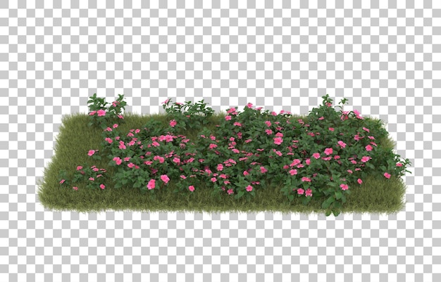 field of grass with flowers on transparent background. 3d rendering - illustration