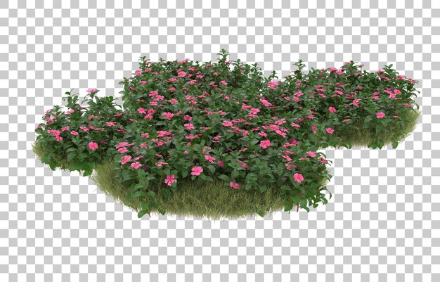 PSD field of grass with flowers on transparent background. 3d rendering - illustration