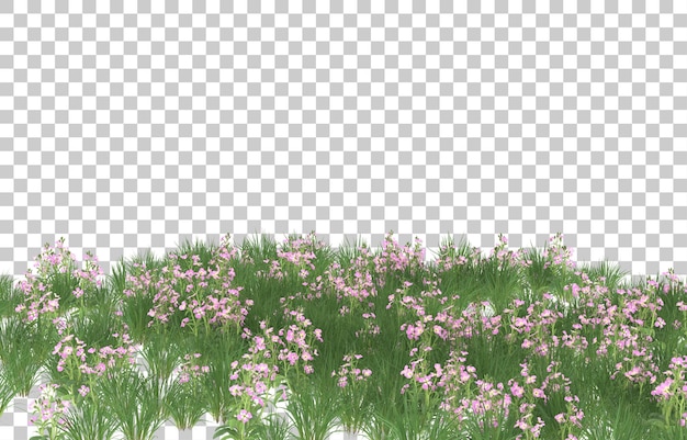 Поле цветов на прозрачном фоне. 3d-рендеринг - иллюстрация