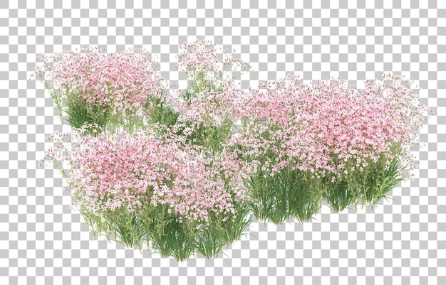 透明な背景に花のフィールド。 3 d レンダリング - イラスト