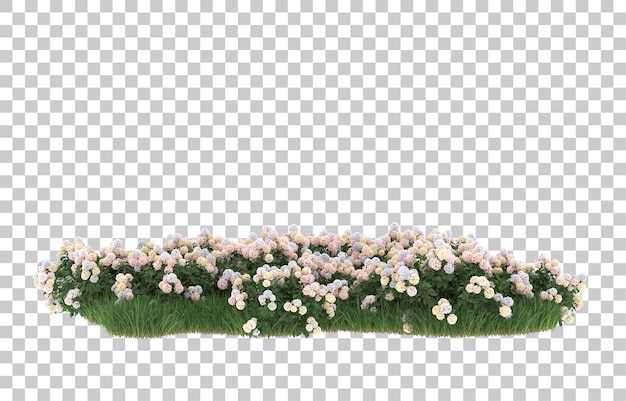 field of flowers on transparent background. 3d rendering - illustration