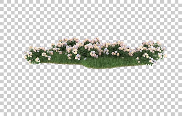 field of flowers on transparent background. 3d rendering - illustration
