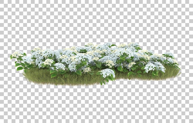 field of grass with flowers on transparent background. 3d rendering - illustration