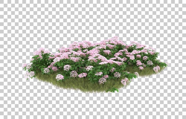 透明な背景に花を持つ芝生のフィールド。 3 d レンダリング - イラスト