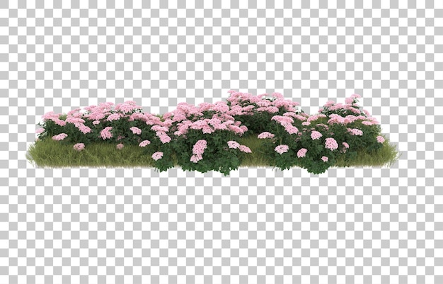 透明な背景に花を持つ芝生のフィールド。 3 d レンダリング - イラスト