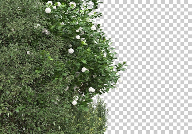 透明な背景に花のフィールド3dレンダリングイラスト
