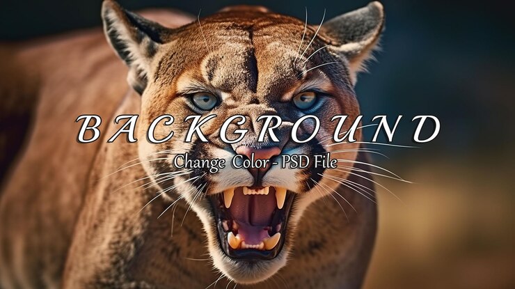 PSD fierce mountain lion roaring with intense blue eyes in nature