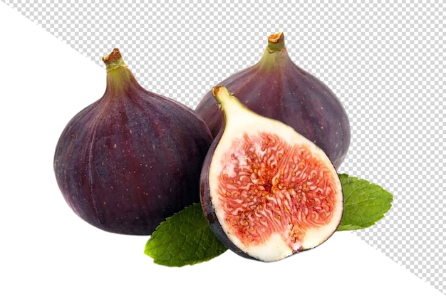 PSD fig or anjeer png