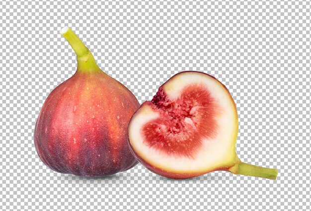 Fig isolated on alpha layer