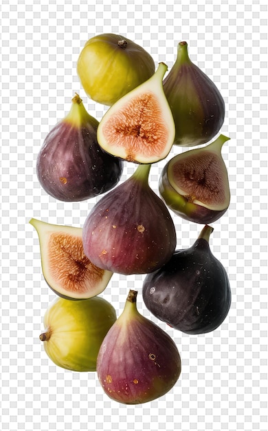 Figs are arranged on a white background