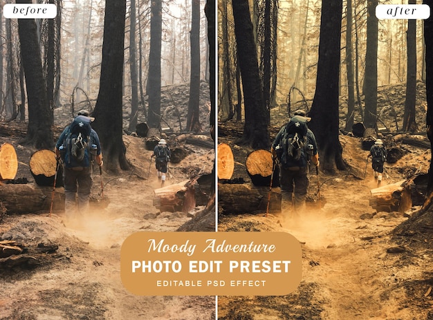Filtr wstępnie ustawiony do edycji zdjęć PSD dla fotografii podróżniczej Moody Adventure