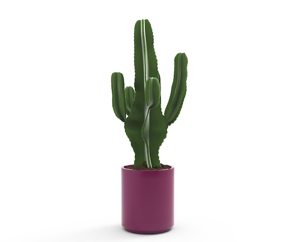 PSD fioletowy garnek z kaktusem