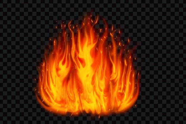 Fire flames on a black background psd