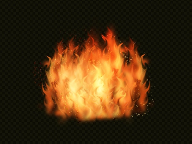 Fire flames on a dark background.