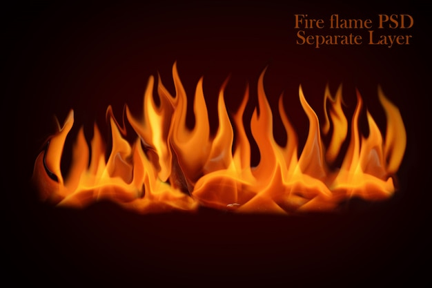 Fire flames isolated