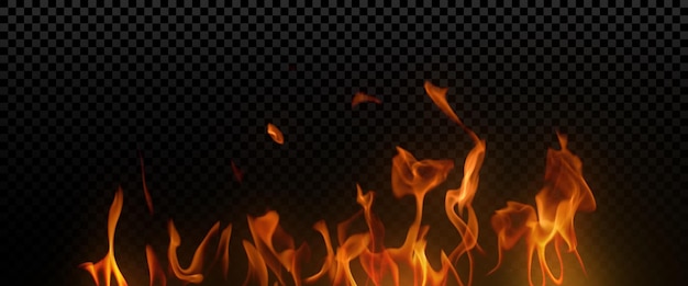 fire flames on a black background
